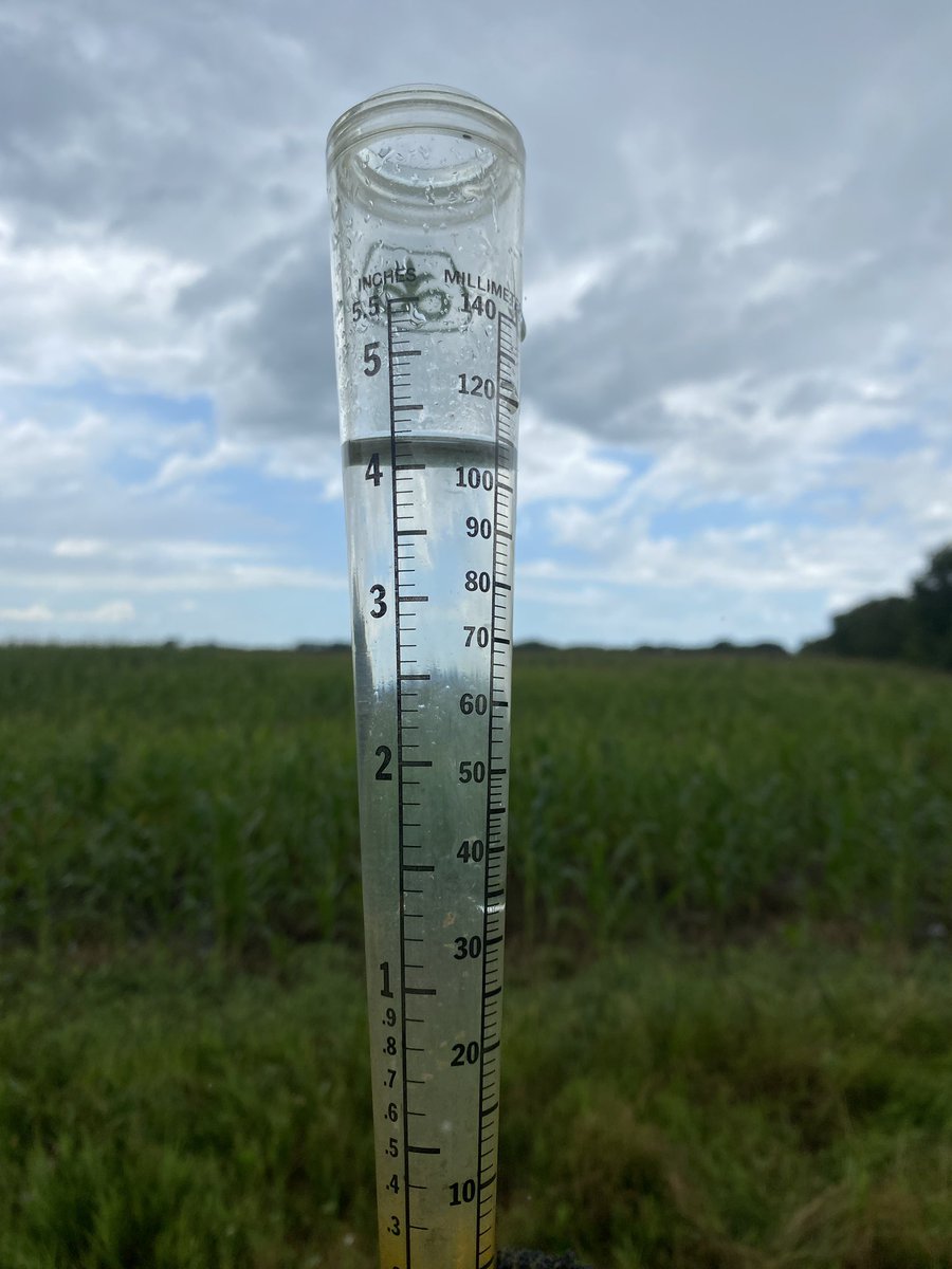 Brings the June total to 17.8” 

#wheatharvest2025 back on #raindelay