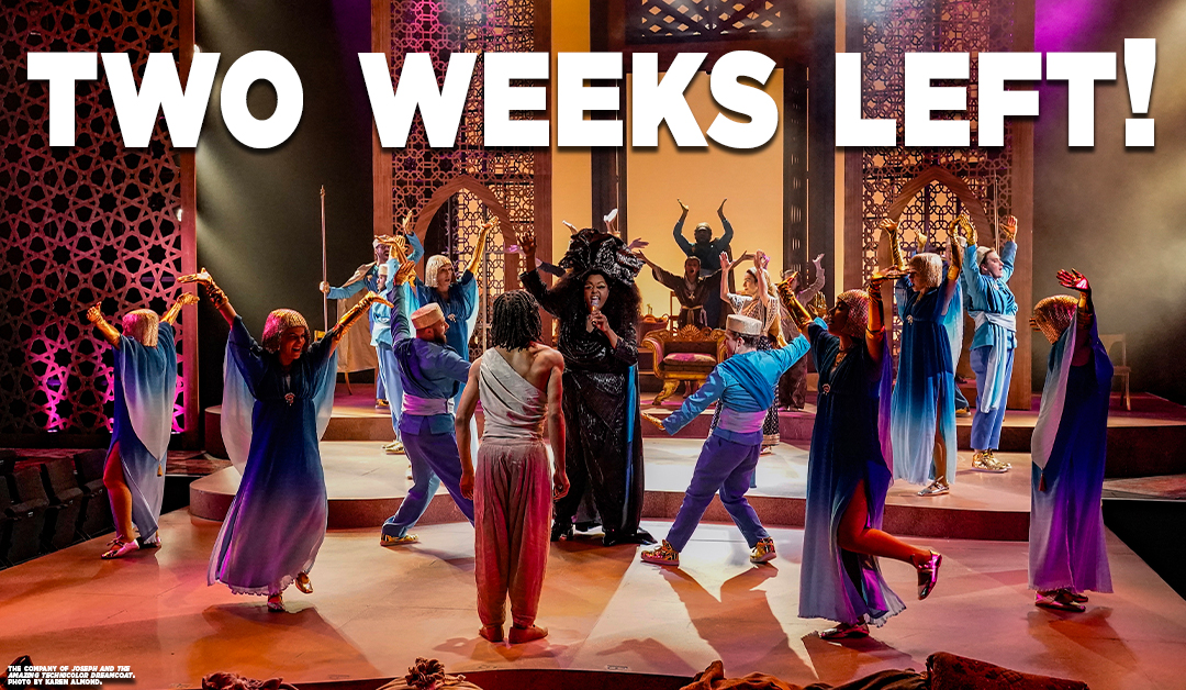 DallasTheater's tweet photo. 🎭 Just two weeks left to experience the technicolor magic live on stage!
Don’t miss your chance to sing along, dance in your seat, and fall in love with Joseph all over again.

🎟️ Grab your tickets now before the dreamcoat disappears! https://t.co/GR4lBEdHlp https://t.co/QFepYUR65i