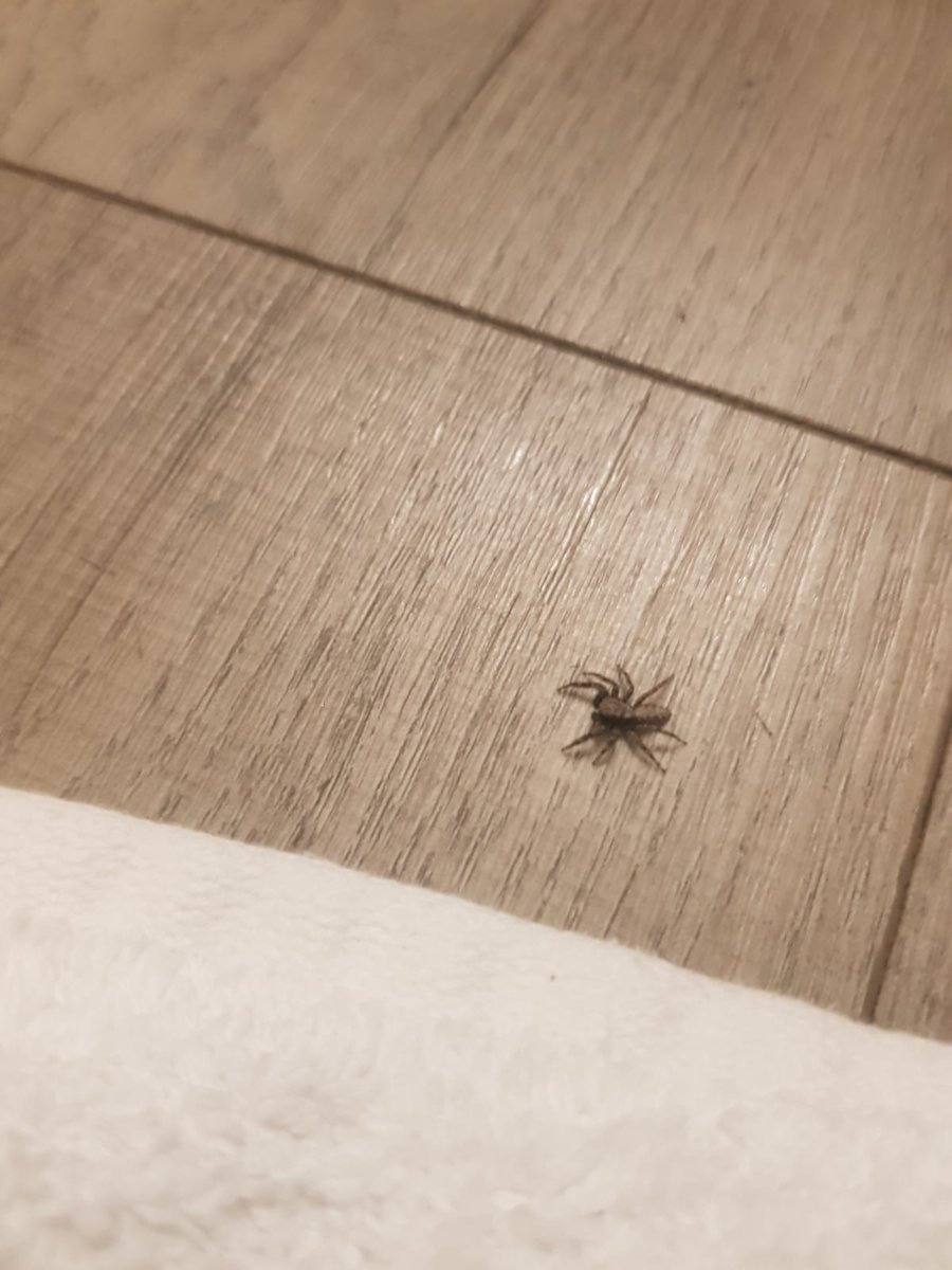 Kable Daniels tweet media