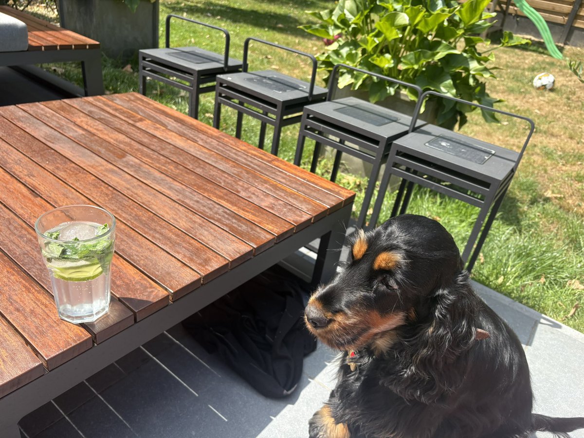 CarolineLasseel's tweet image. Tonic water with lime
And mint during a heatwave ! So happy to  have Cloé close to me ! #alwaysAlone