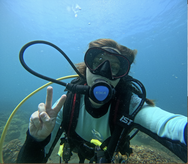 bildlida tweet media