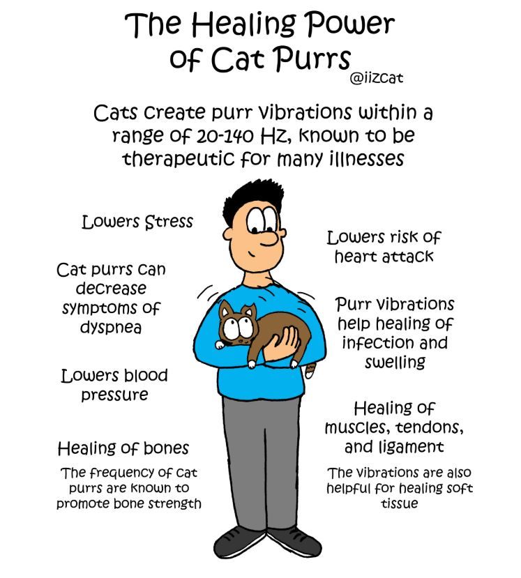 I'm sending purrs to all humans and animals poorly.
Never underestimate the healing power of a cat's purr! 
Purr purr purr #Purrs4Peace