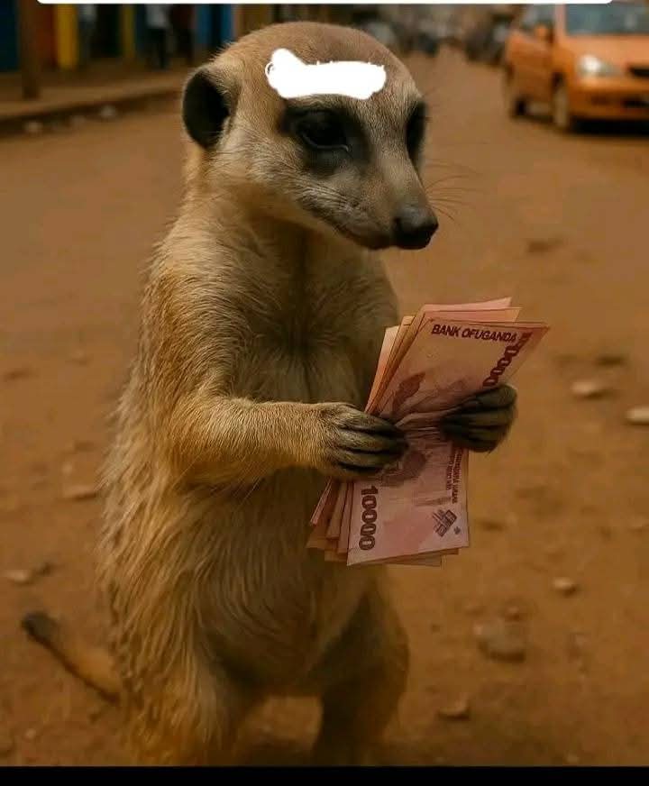 Colleagues,  I find the money!