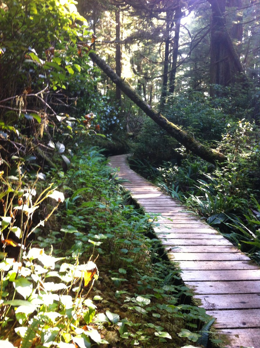 Shinnie.base.eth tweet media