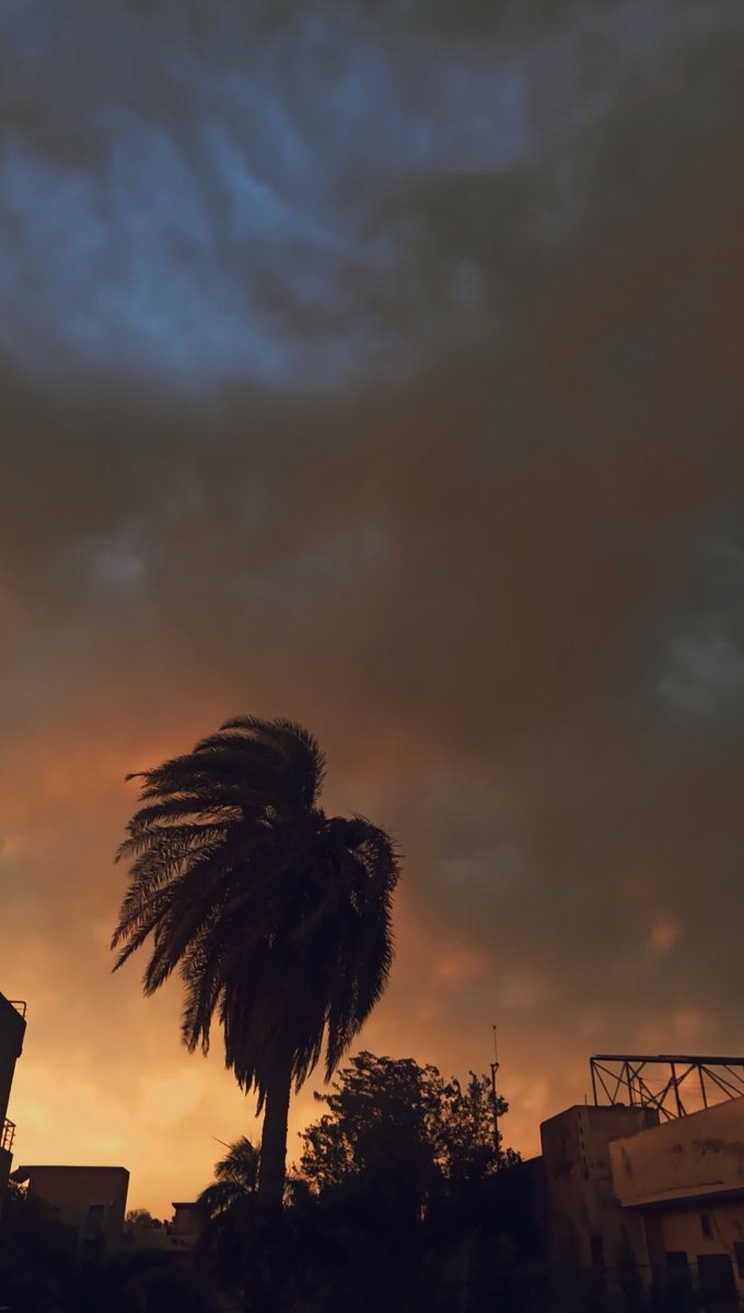 Haider Raza tweet media