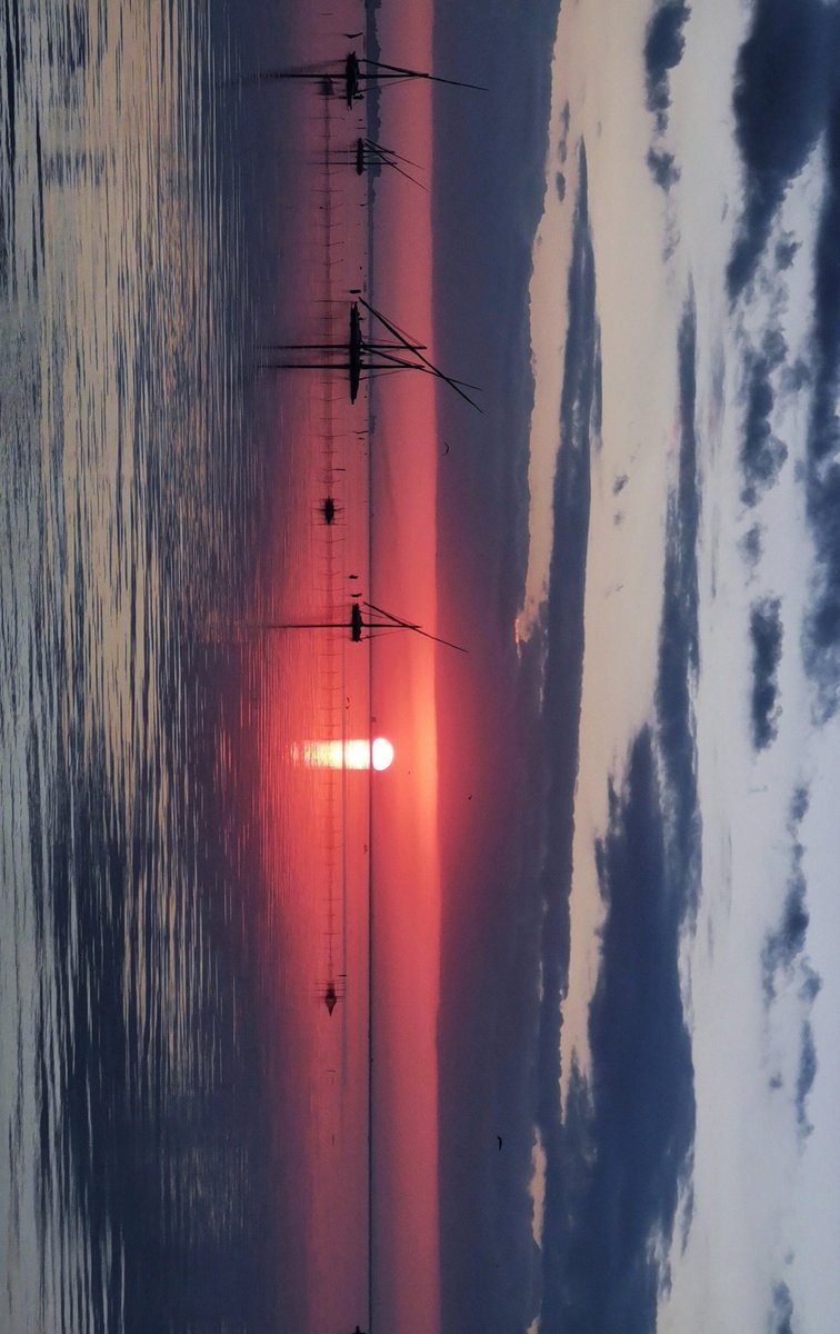 نبيه (@mohamednabih72) on Twitter photo 