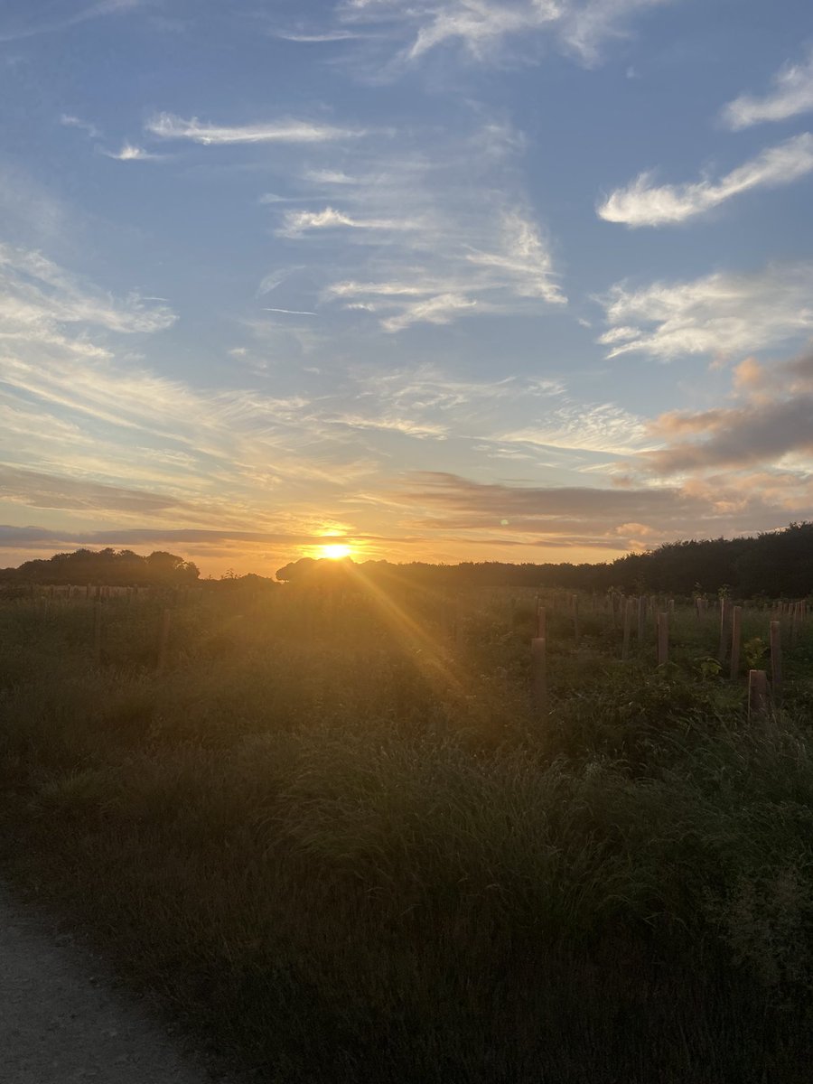 katiecakey123's tweet image. It wasn’t the distance or the race I had trained for! But happy with 75 miles. felt terrible for most of the race with heat stroke stopping play for hours in the night .made loads of mistakes in the heat, boy did my stomach pay for it. #runninggirl #ultramarathon #endure24