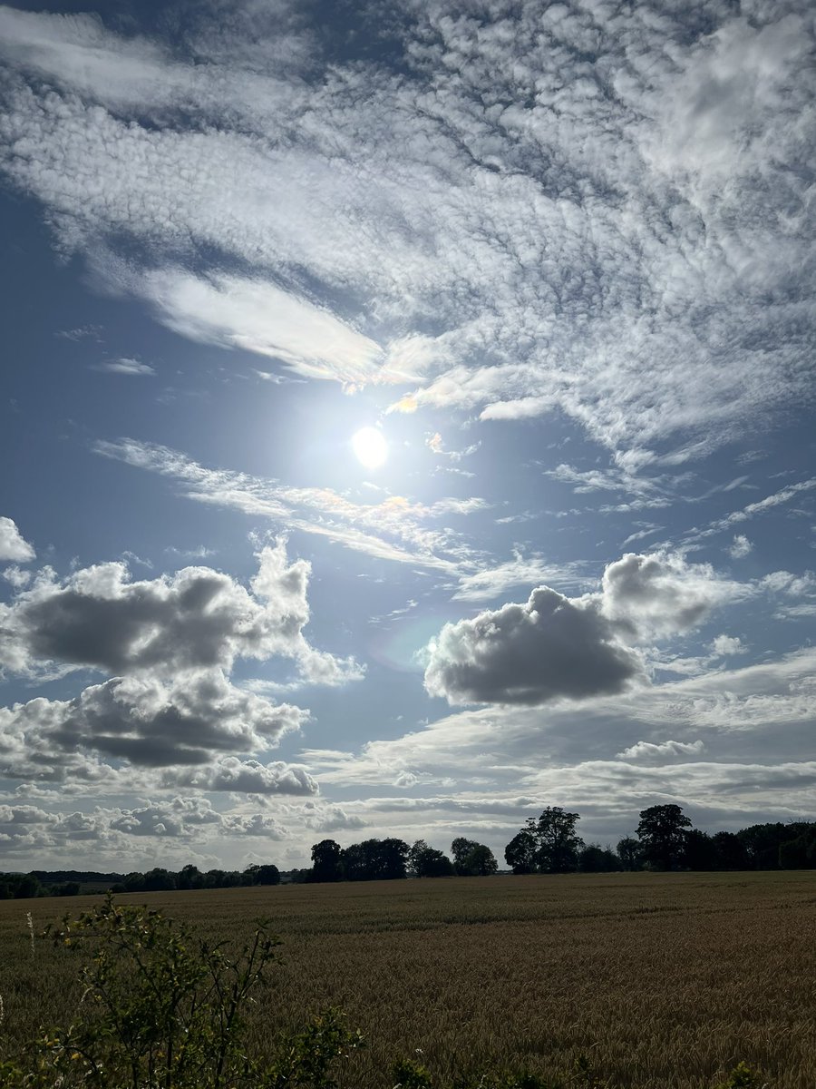 wilkoloopylu's tweet image. #NHS1000miles week 26 for 2025
Walk 🚶‍♀️17.48 miles 
Run 🏃🏻‍♀️ 21.06 miles
Total 38.55 miles 
YTD 988.94 miles 
It’s been a warm week but pleased with the mileage. Fun day supporting my running buddy raise funds for Tokyo marathon! Another busy week ahead, nearly holiday time!
