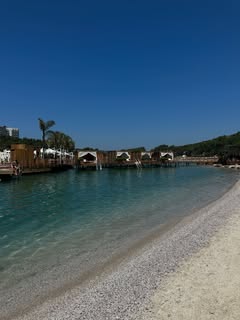 Teresa Evans tweet media