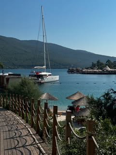 Teresa Evans tweet media