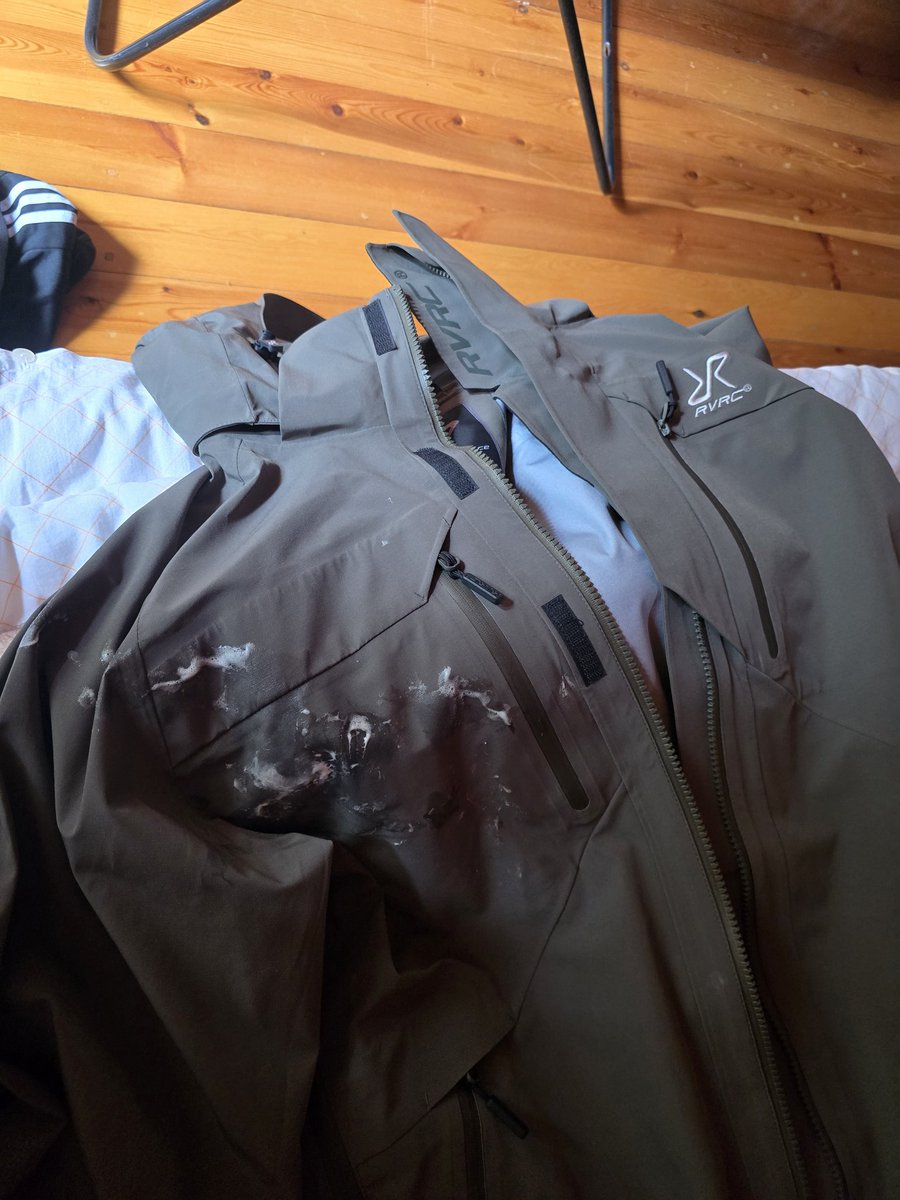 JacketPlay tweet media