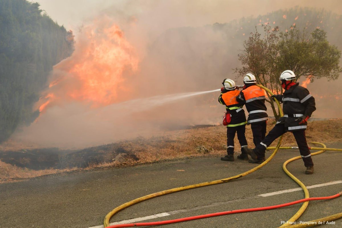 SecCivileFrance's tweet photo. 🔥🌲 #FeuDeForêt à Bizanet (Aude) :
🧑‍🚒Plus de 153 sapeurs-pompiers du @SDIS11OFFICIEL  sont mobilisés. 
🛩 4 #Canadair et 4 #Dash ont été engagés en renfort.
🚁 Le #Dragon 66 et 2 #Beechcraft sont en appui des équipes au sol.
🚒 Des sapeurs-pompiers des @SDIS66, @PompiersHerault, @MarinsPompiers sont en transit pour leur prêter main forte.
⚠️ Évitez le secteur et suivez les consignes de sécurité du @Prefet11 

©️Ph Franc - @SDIS11OFFICIEL