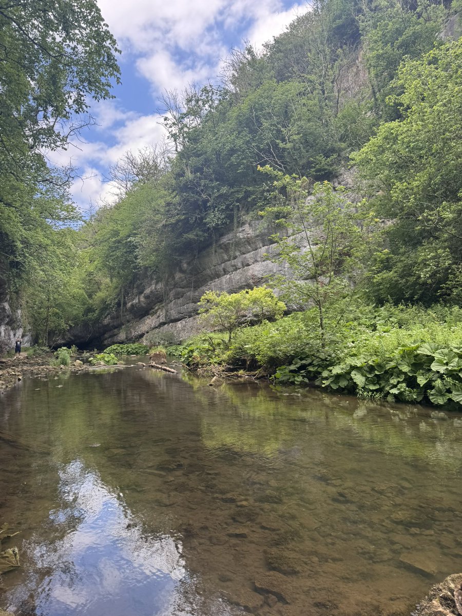 629 miles YTD for #NHS1000miles with a few around Chatsworth House and the Chee Dale Valley this week.