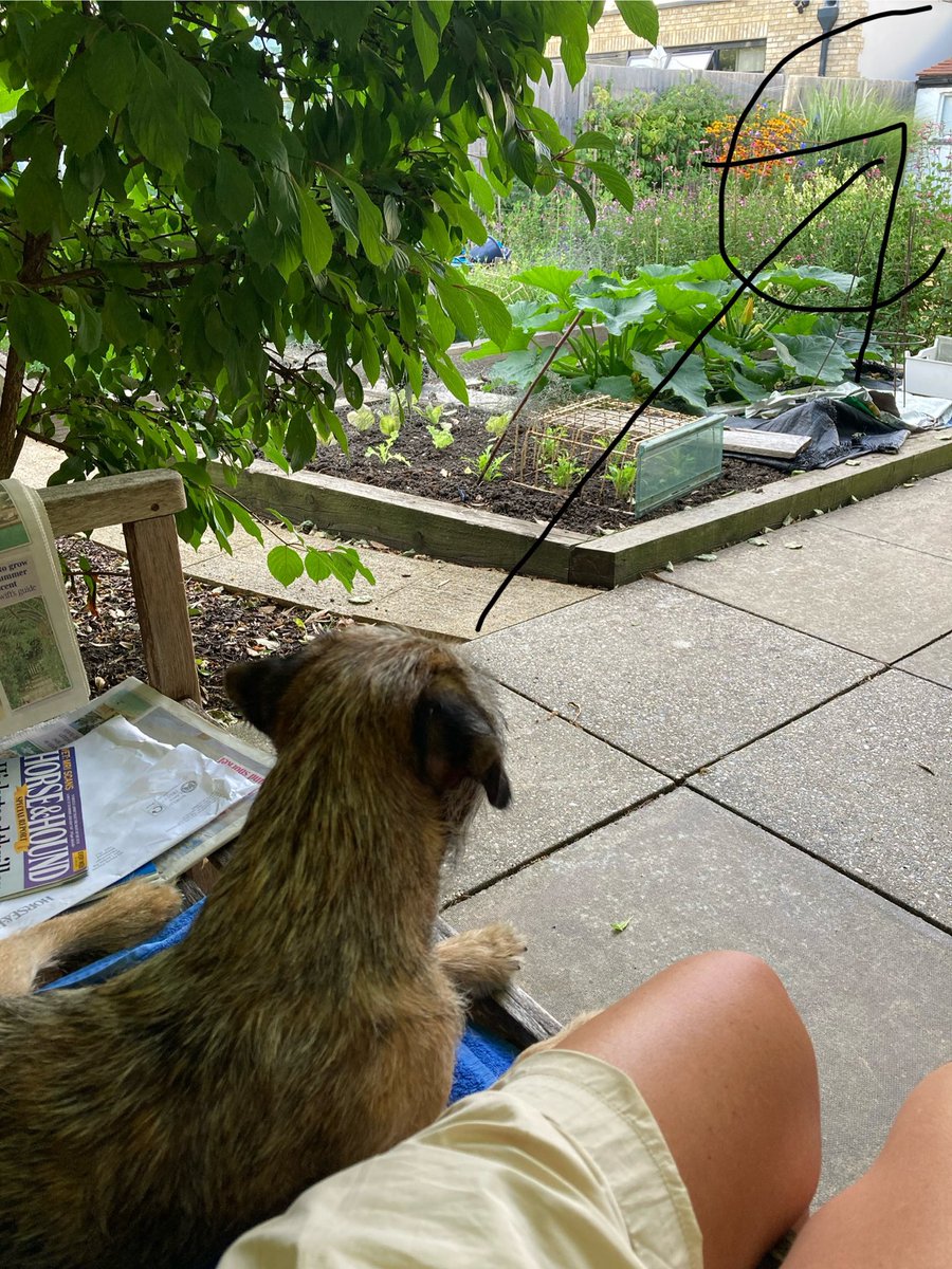 She thinks I want to sit with her - bless! I’m focused on chicken on BBQ - I know I will be disappointed but optimism is the BT way 🤷‍♀️