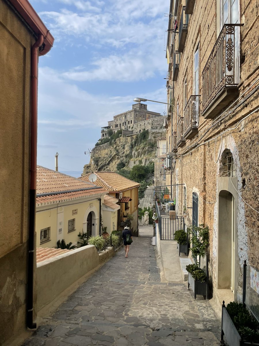 Nensi Coseani tweet media