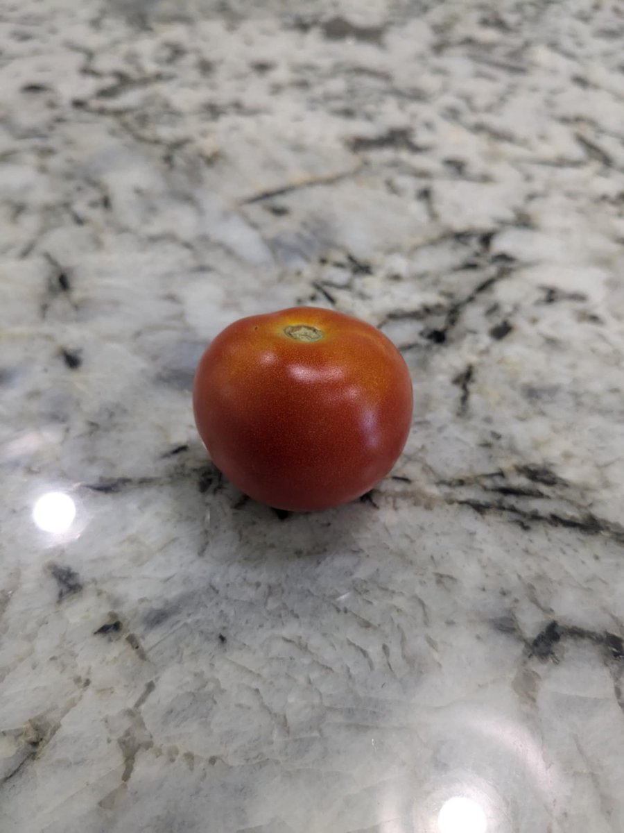 Prosper CTE (@prospercte) on Twitter photo Look at this giant cherry tomato from the <a href="/ProsperFFA/">Prosper FFA</a> starter plant! First of many! <a href="/ProsperHS/">Prosper High School</a> Look at this giant cherry tomato from the <a href="/ProsperFFA/">Prosper FFA</a> starter plant! First of many! <a href="/ProsperHS/">Prosper High School</a>
