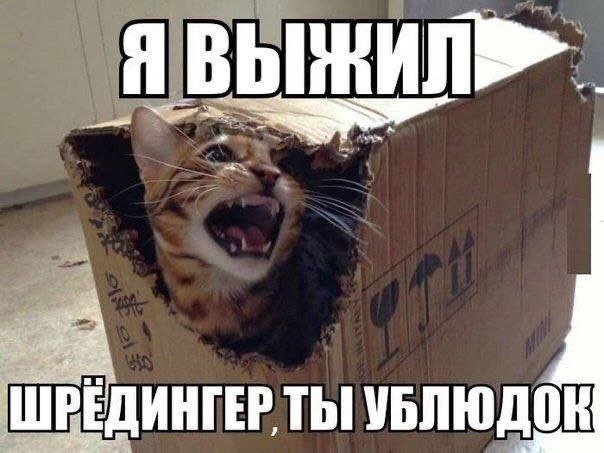 Дантес (@dantesdmitriy) on Twitter photo 