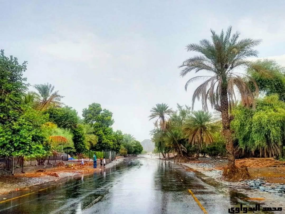 اسْتَقْبِلُوا أقْدَاركم بنفسٍ راضيةٍ ، فاللهُ يعلمُ وأنتمْ لا تعلمونَ