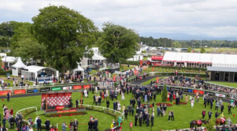 The Irish Field tweet media