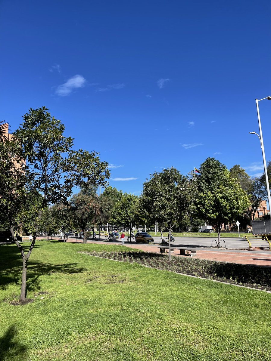 paulatoro7's tweet image. Un día así en Bogotá después de 6 meses de solo lluvia🌞🌻✨