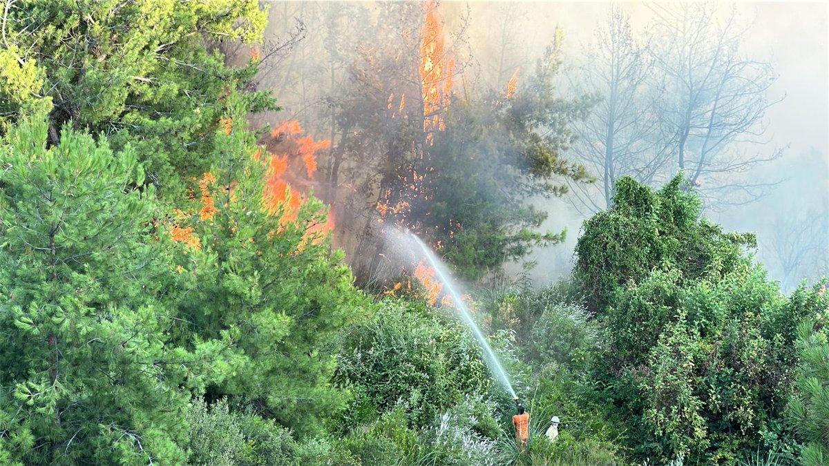 Antalya Aksu'da çıkan orman yangını kontrol altına alındı. Yangında 5 hektarlık ormanlık alan ve 3 hektarlık orman dışı kırsal alanın zarar gördüğü belirtildi.
#yangın