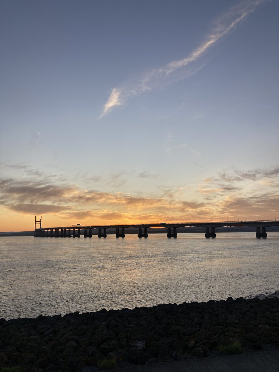 Martin Evans tweet media