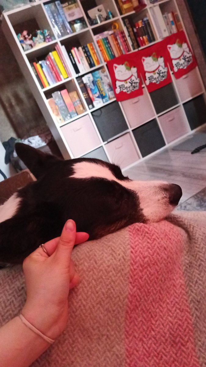 Shellia_np's tweet image. Моя маленькая семейка :з лучшие московские и не только булочки 
Я счастлива 
Уже еду обратно в Питер, но я уже скучаю 😭