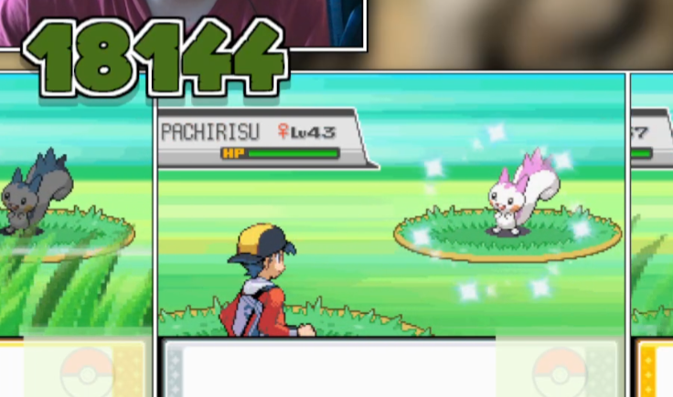 cilerba's tweet photo. Shiny #2 for #SafariWeek2025 is Pachirisu at 18,144 encounters! https://t.co/Mf180kTlpr