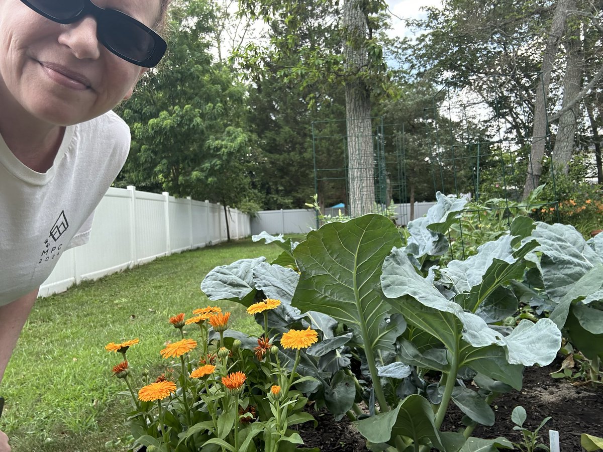 <a href="/SoJerseyPeakers/">SouthJerseyPeakers</a> <a href="/MyPeakChallenge/">My Peak Challenge</a> <a href="/SassenachSJ/">Christine Gordon</a> <a href="/SamHeughan/">Sam Heughan</a> <a href="/ESSpeakPeakers/">SpanishSpkPeakers</a> <a href="/PeakersScotland/">Peakers Scotland</a> <a href="/PeakersLI/">LI PEAKERS</a> <a href="/PeakersNorway/">PeakersNorway</a> <a href="/auspeakers/">AussiePeakers</a> <a href="/MexicanPeakers/">Mexican Peakers</a> South Jersey Peakers July Nature Challenge Flowers. These are Calendula in our vegetable garden next to our broccoli. #bettertogether #fitandhappy 🌼