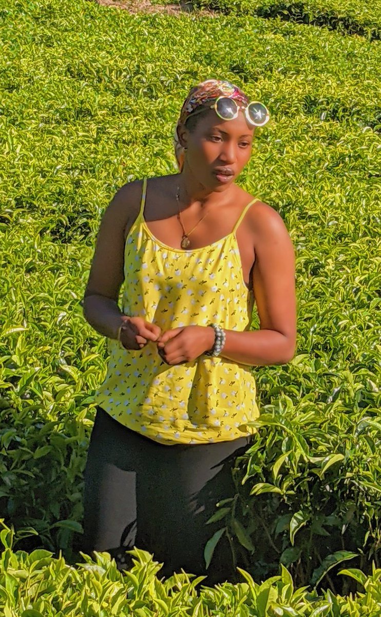 Good morning from Rwanda! Starting the day with a perfect cup of tea 
#Rwandabeauty
#VisitRwanda