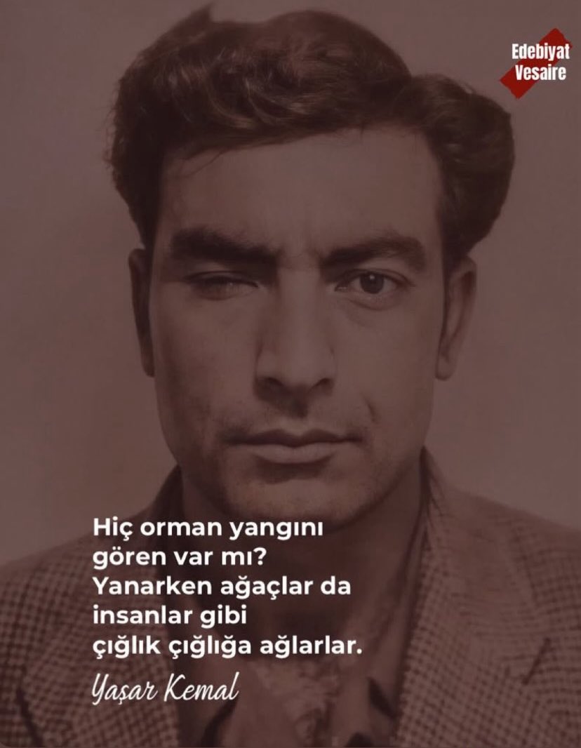 Bedii43206414's tweet photo. Geleceğimiz bir bir yanıyor…
Havamız, hayvanlarımız, ışığımız ve kimsenin umurunda değil…
Çok geçmiş olsun İzmir
          #izmiryanıyor 😔😔 https://t.co/v1A01jUxMN