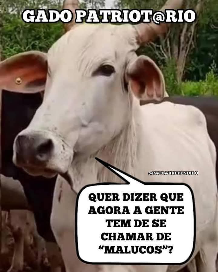 <a href="/TucaAndrada3/">Tuca Andrada</a> <a href="/solange13288679/">Sol</a>