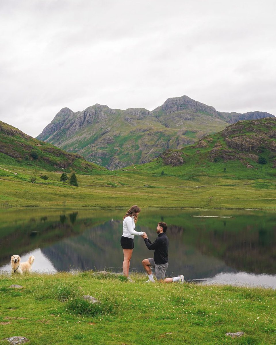 HibernianFC's tweet photo. 💍 Engaged
💚 New deal for best mate

What a week for Jack Iredale 😂 https://t.co/yvvvATabvW