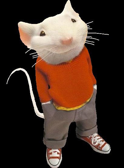 LowCyan_'s tweet image. Okay hear me out....

A Ratatouille Live Action remake, BUT all the rats are animated like Stuart Little?