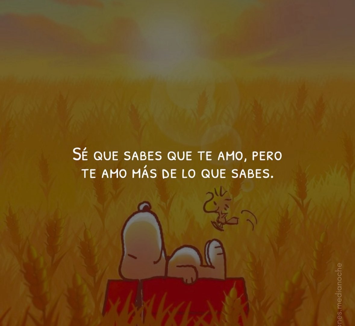 Reflexiones tweet media