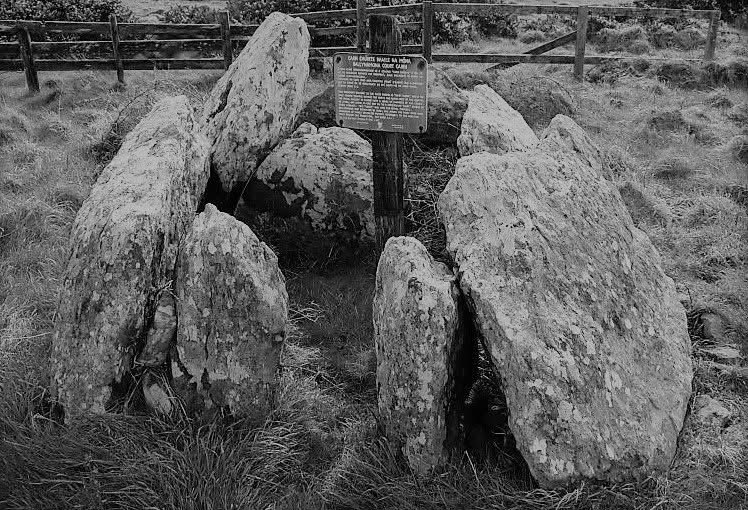 Chrissy Knight-O’Connor tweet media