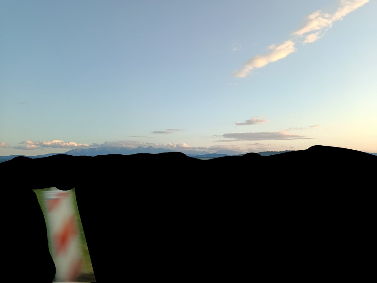 Oftenhider (follows back) tweet media