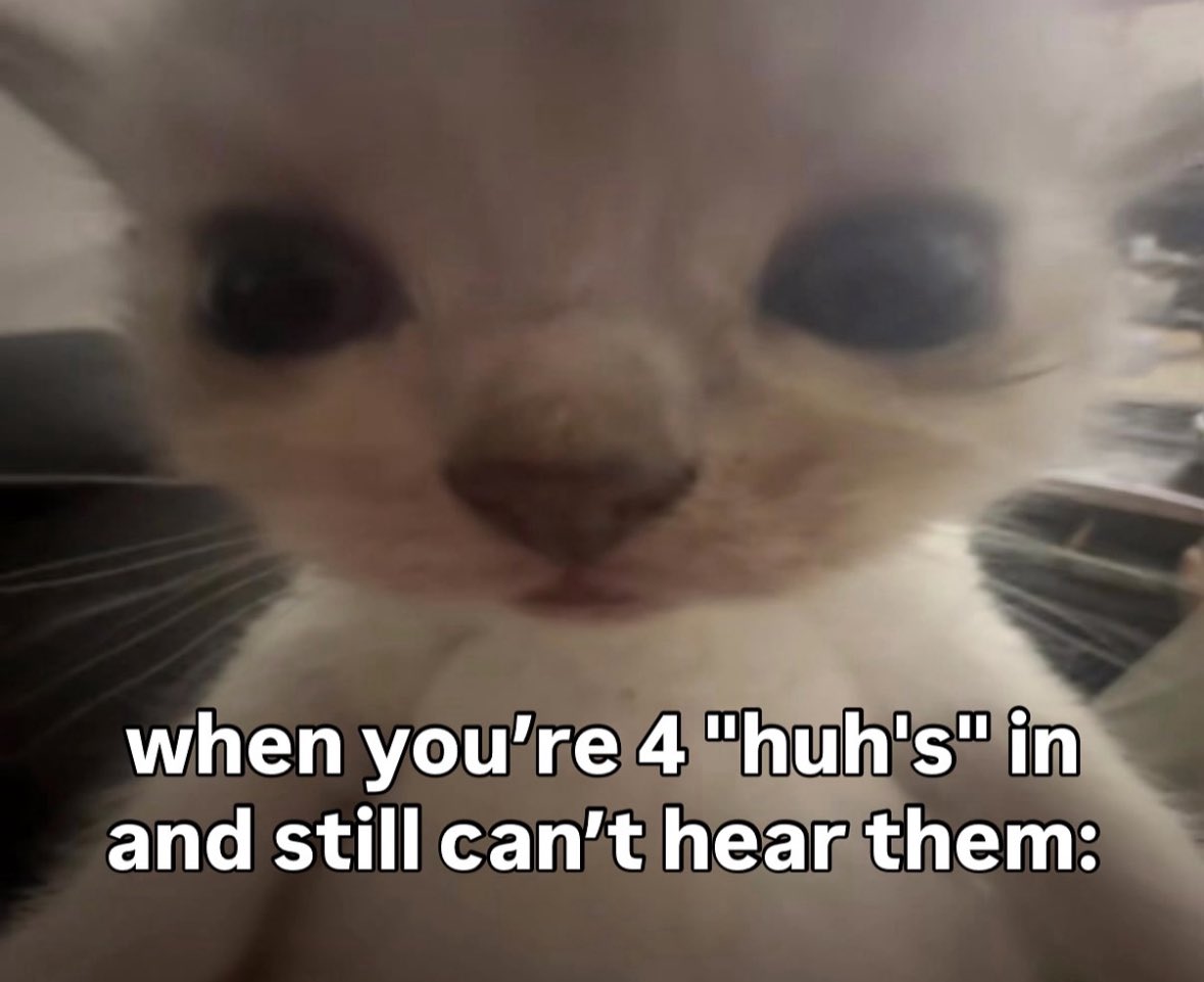 LiterallyMeCats (@literallymecats) on Twitter photo 