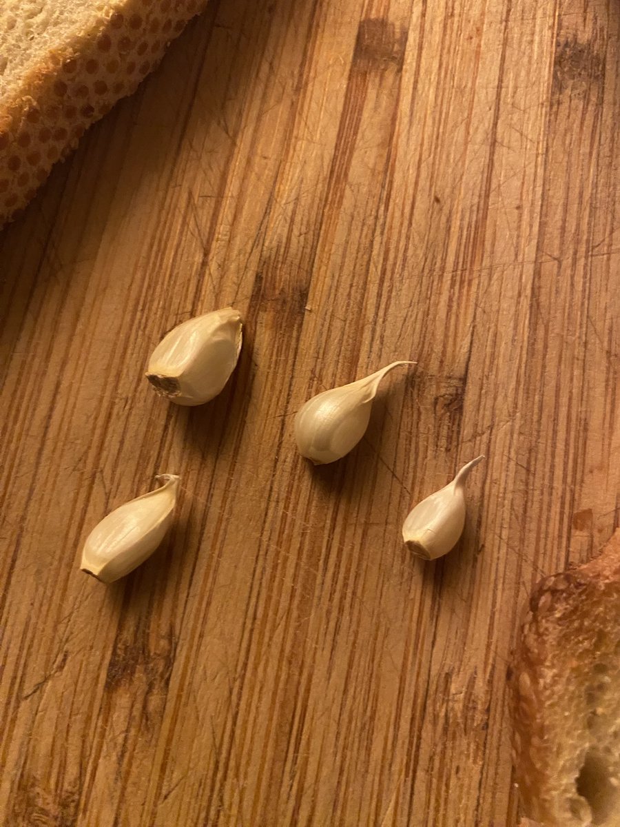 ja____cob's tweet image. 