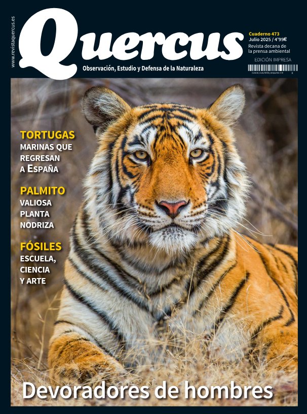 RevistaQuercus's tweet image. Cuaderno 473 • Julio de 2025
revistaquercus.es/noticia/9099/s…
¡Ya en tu quiosco!
O si prefieres, te lo hacemos llegar a tu casa
librerialinneo.com/quercus-473