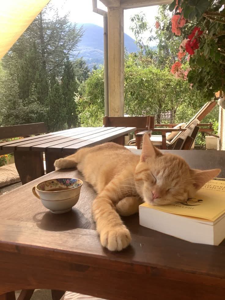 𝓐𝓭𝓻𝔂 ❤ tweet media