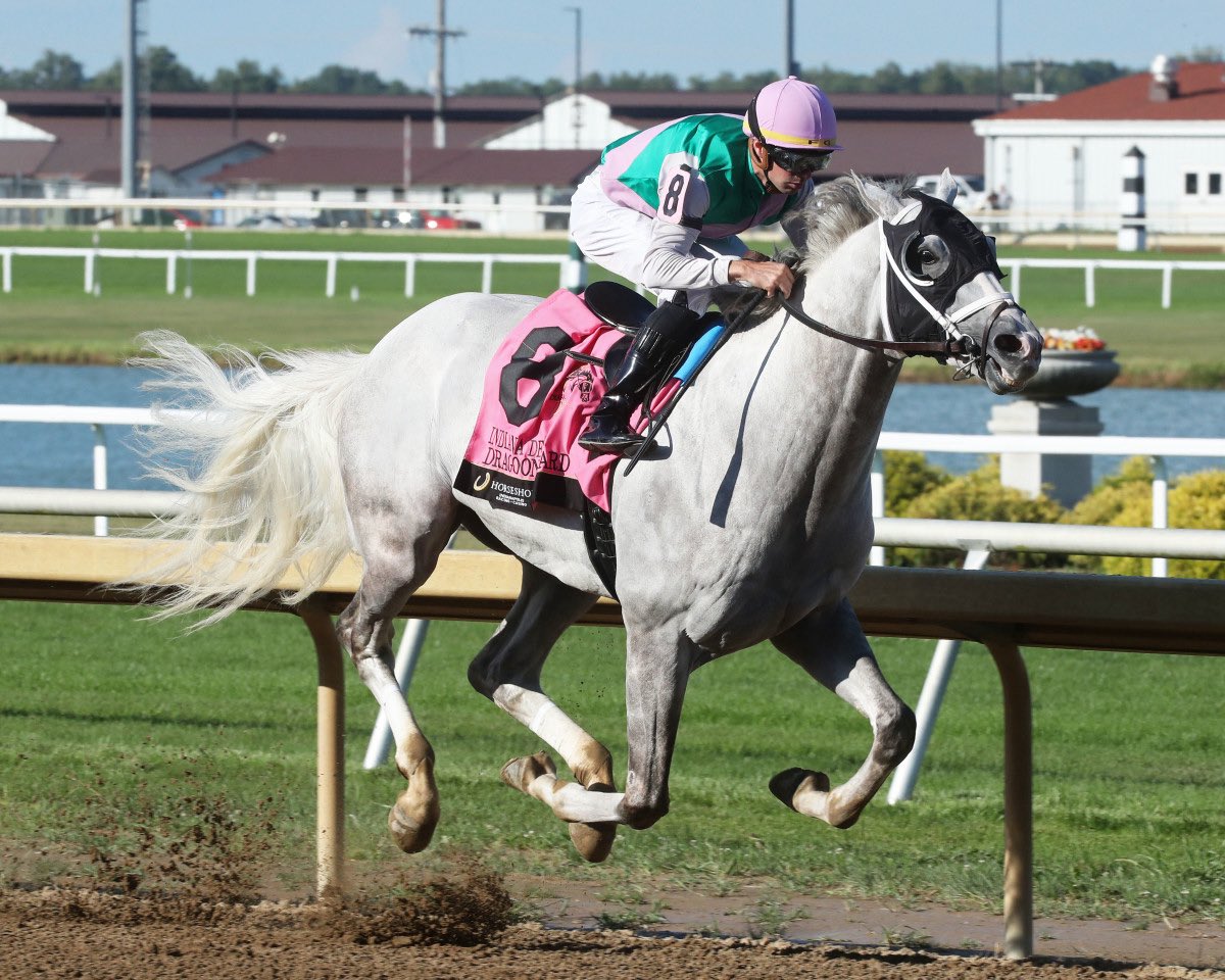 The 2024 G.3 Indiana Derby winner DRAGOON GUARD with <a href="/flothejock/">Florent Geroux</a> for <a href="/bradcoxracing/">Brad H. Cox Racing</a> &amp; <a href="/JuddmonteFarms/">Juddmonte</a> entered in the G.3 Prairie Meadows Cornhusker H. The field for this year’s #INDerby will be drawn on Monday. Indiana’s BIGGEST DAY of the season this Saturday. First Post 12pm.