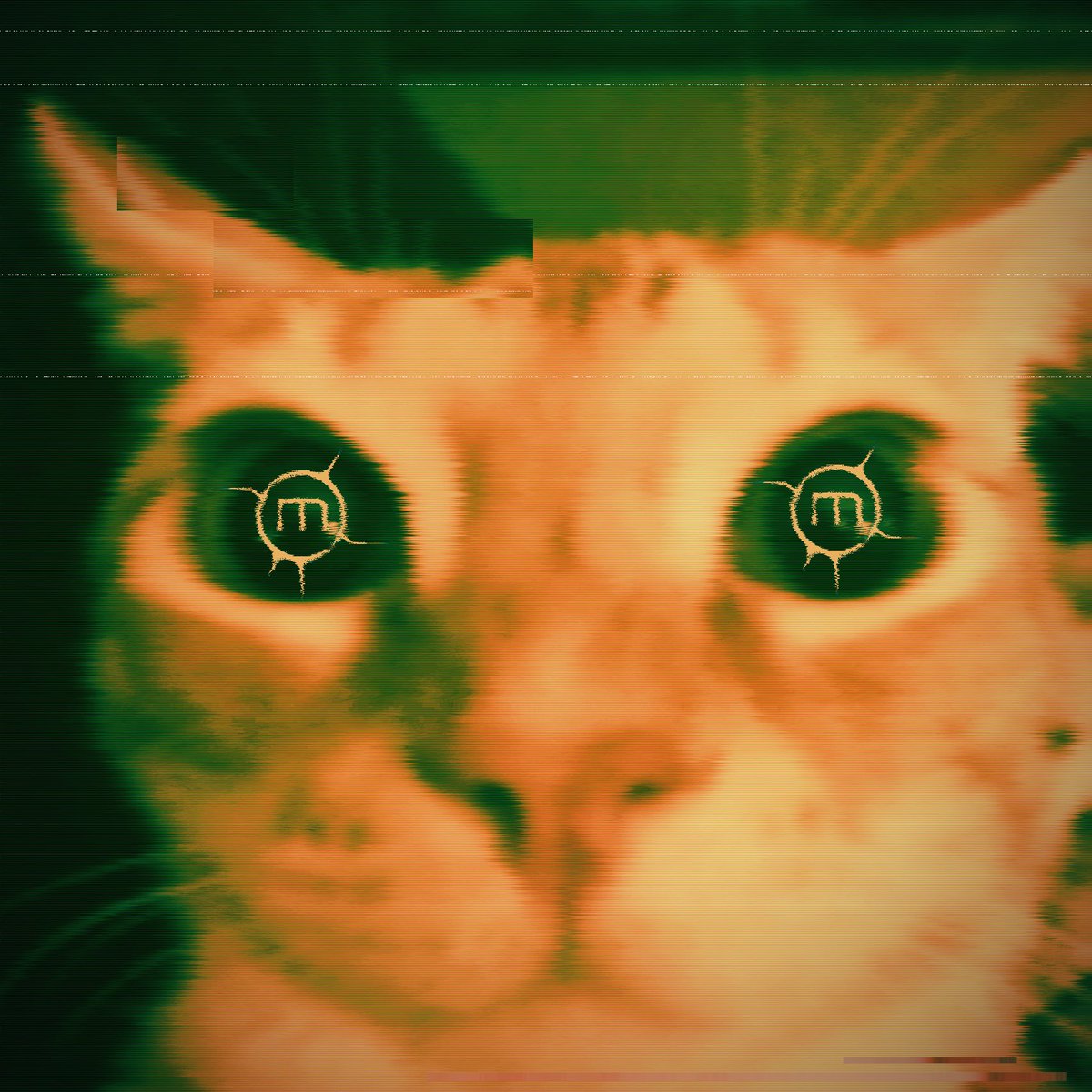 Moodring (@moodringrock) on Twitter photo 