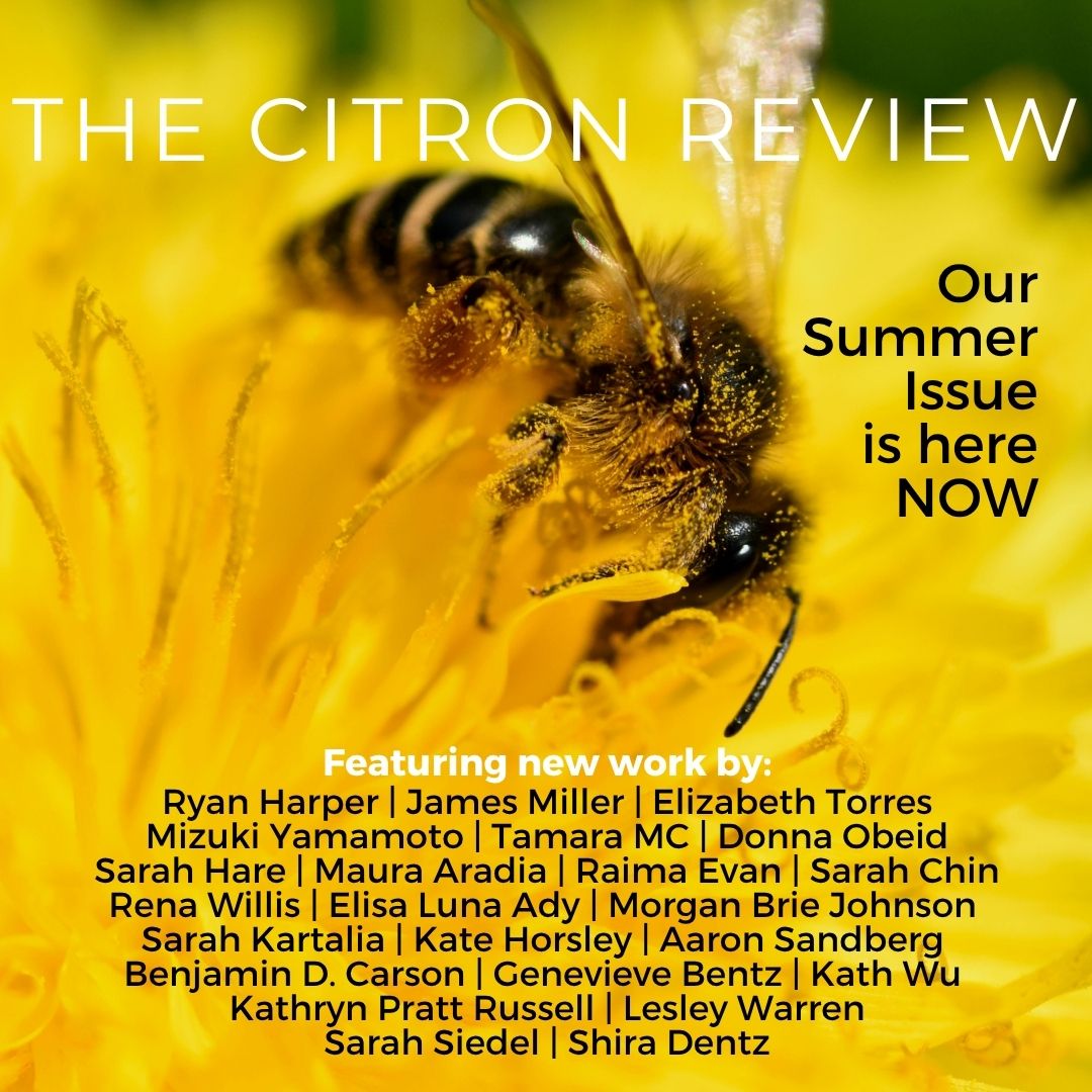 The Citron Review tweet media