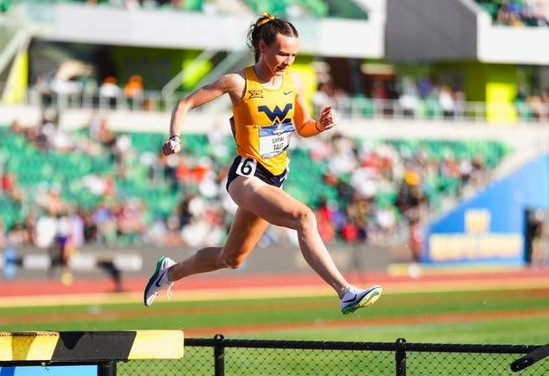 scottishathletics (@scotathletics) on Twitter photo SARAH SECOND
#SALtogether
Excellent Senior GB debut at Euro Team Champs <a href="/SarahTait26/">Sarah Tait</a>
Within three 100ths of victory in Women's 3000m Steeplechase after late glory bid after slow race๐ ๐ฌ๐ง
#madrid2025
<a href="/BritAthletics/">British Athletics</a> <a href="/WVUXCTF/">WVU Cross Country/Track & Field</a> <a href="/LasswadeAAC/">lasswadeAthleticsClub</a> <a href="/67lindasmith/">linda smith</a> <a href="/PdunnPaula/">Paula Dunn MBE OLY</a> <a href="/OvensDavid/">David Ovens</a> SARAH SECOND
#SALtogether
Excellent Senior GB debut at Euro Team Champs <a href="/SarahTait26/">Sarah Tait</a>
Within three 100ths of victory in Women's 3000m Steeplechase after late glory bid after slow race๐ ๐ฌ๐ง
#madrid2025
<a href="/BritAthletics/">British Athletics</a> <a href="/WVUXCTF/">WVU Cross Country/Track & Field</a> <a href="/LasswadeAAC/">lasswadeAthleticsClub</a> <a href="/67lindasmith/">linda smith</a> <a href="/PdunnPaula/">Paula Dunn MBE OLY</a> <a href="/OvensDavid/">David Ovens</a>