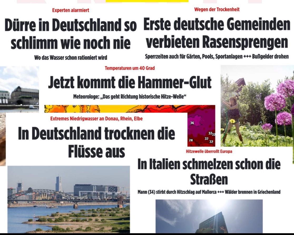 Fräulein Nass tweet media