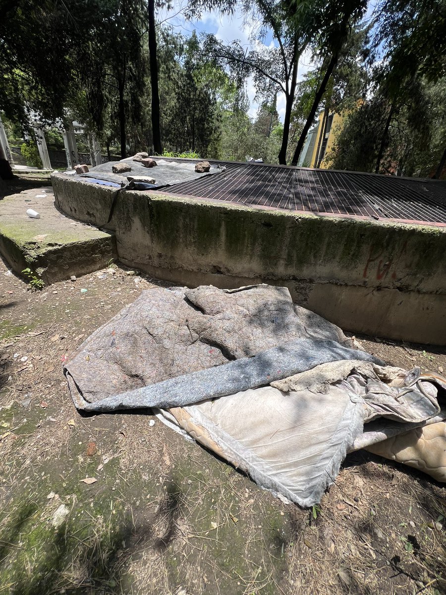 pitatag's tweet photo. @AlcaldiaMHmx El Parque Lira está más sucio y descuidado que nunca. El área verde histórica a un lado del edificio de la Alcaldía parece tierra de nadie. Funcionarios de la Miguel Hidalgo límpienlo, cuídenlo y vigilenlo. https://t.co/W0wORKRazG