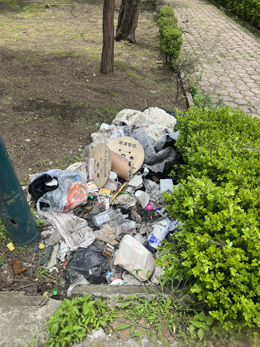 pitatag's tweet photo. @AlcaldiaMHmx El Parque Lira está más sucio y descuidado que nunca. El área verde histórica a un lado del edificio de la Alcaldía parece tierra de nadie. Funcionarios de la Miguel Hidalgo límpienlo, cuídenlo y vigilenlo. https://t.co/W0wORKRazG