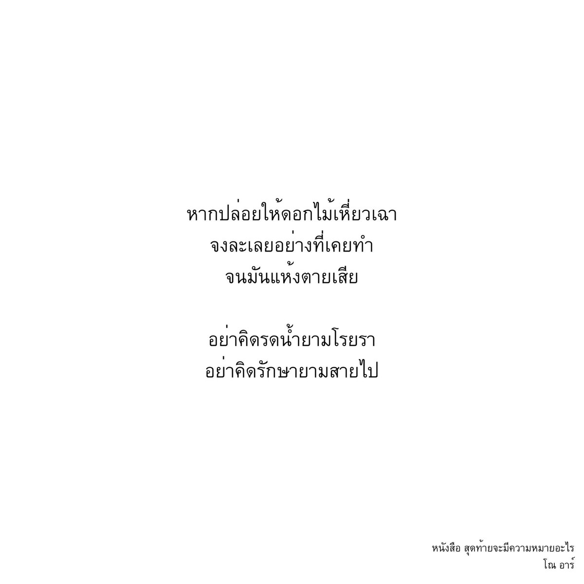 norr tweet media