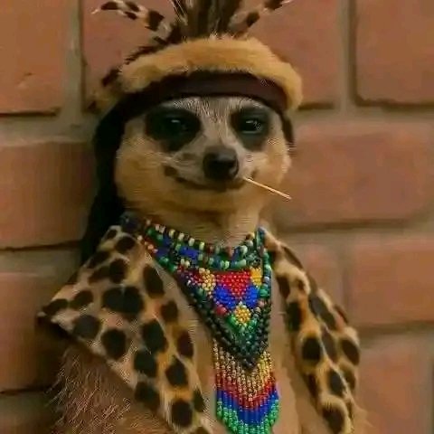 Humu ni Mimi tu ambaye sijatia Nia ama!?😂😂Ubunge umekuwa kimbilio la Wendawazimu,huko tuendako ni FUTUHI 😂💃🏿